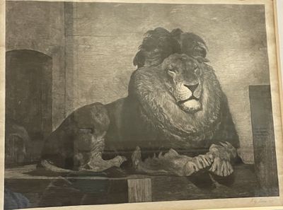 a picture of a lion laying down on a table