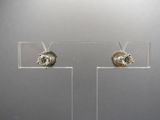 paire de boucles d'oreilles en argent et plaquées or, présentées sur un support en acrylique transparent