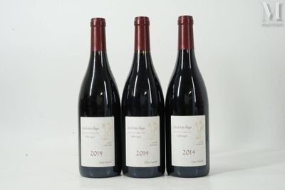 trois bouteilles de vin rouge sont posées sur une surface blanche