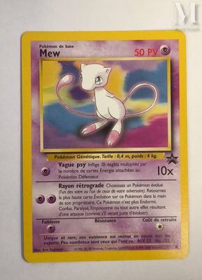 an image of a pokemon card with a cat on it