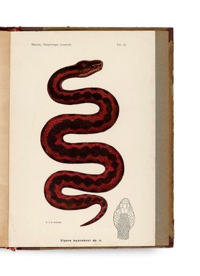 un livre ouvert dont la couverture est ornée d'un serpent rouge