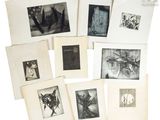 plusieurs photographies en noir et blanc représentant un chat et d'autres animaux