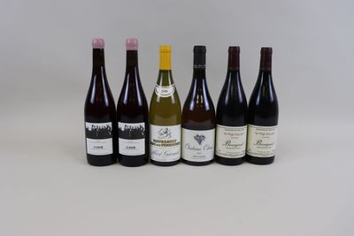 six bouteilles de vin sont alignées sur une surface blanche