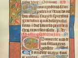 an image of a page from a medieval manuscript with a picture of a bird