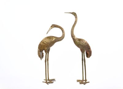 two birds standing next to each other on a white surface