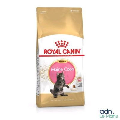 Alimentation pour chatons Royal Canin Maine Ocean