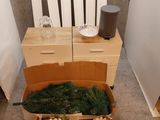 une boîte de fleurs et une boîte de livres posées par terre