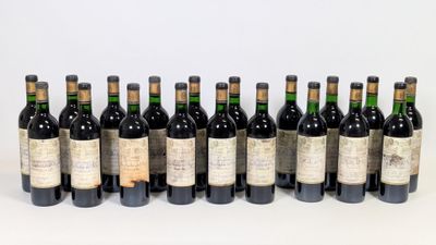 plusieurs bouteilles de vin sont alignées sur une surface blanche