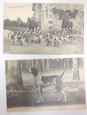 deux vieilles photos en noir et blanc représentant des chiens devant un immeuble