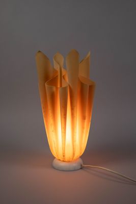 l'image d'une lampe posée sur une table