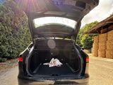 the back of a car with its trunk open on the road
