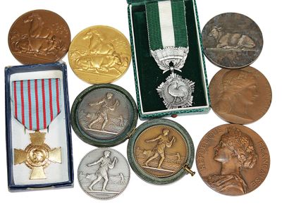 many medals and medals in a box on the table