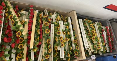 de nombreuses caisses de tournesols exposées dans un magasin