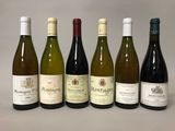 six bouteilles de vin sont alignées sur une table