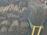 un tas de bois et un balai posés par terre