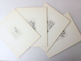 a group of four prints of various animals on a white surface
