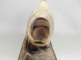 a close up of a sculpture of a banana on a marble base