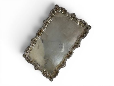 an image of a silver plate with a dog in it