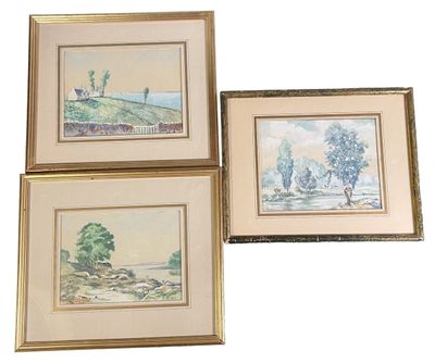 trois aquarelles encadrées représentant des arbres et une rivière, dans un cadre doré