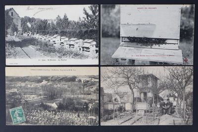 plusieurs vieilles photos en noir et blanc représentant une ferme, une maison et quelques arbres