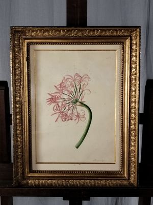 tableau représentant une fleur rose dans un cadre doré, posé sur une table