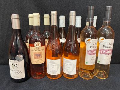 les nombreuses bouteilles de vin alignées sur la table