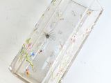a glass vase with a spider on it on a table