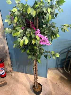 un arbre en pot orné de fleurs violettes