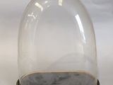 a glass dome with a wooden base on a white background