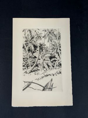 une image d'un dessin en noir et blanc d'un oiseau sur une branche