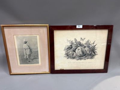 Deux lithographies par A AGALLIARD - Pomme de Gabrille Dapi …