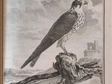 a bird that is perched on a branch of a tree