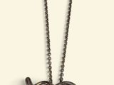 zodiac sign necklace with a silver chain on a white background