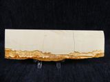 a close up of a piece of wood on a black background