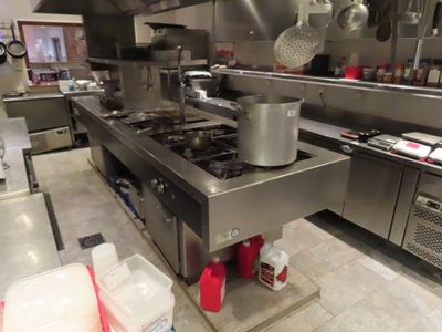 Fourneau central comprenant : - une friteuse 2 bacs électriq…