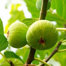 Destockage & Invendus