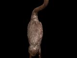 bronze statue of a bird with a long neck on a black background