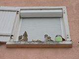 Photo 2/3 du lot