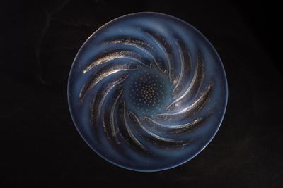 a blue plate with a spiral design on it