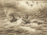 dessin représentant un groupe de monstres marins dans un plan d'eau