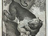 an old book with a picture of a cat and a dog on it