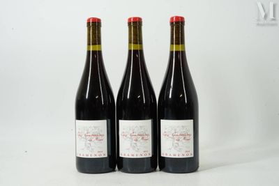 trois bouteilles de vin rouge posées l'une à côté de l'autre sur une surface blanche