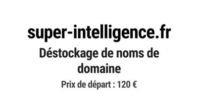 super - intelligence fr desstockage de nons de domaine