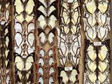 a lot of different types of fabric hanging on the wall
