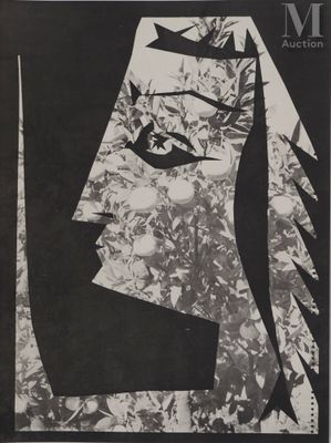 une image représentant une affiche en noir et blanc sur laquelle figure le visage d'une femme