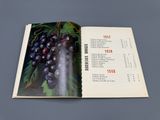 an open book with a bunch of grapes on it