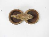an image of a small wooden object with a lizard on it ' s head