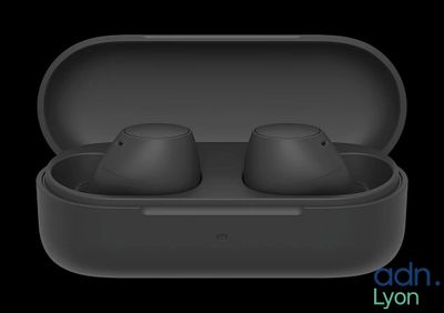 an image of a pair of black earphones in a case