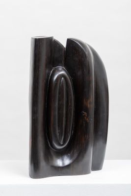 a black sculpture on a white shelf with a white background