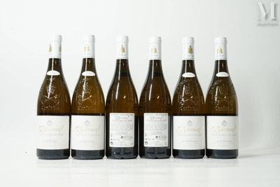 six bouteilles de vin sont alignées sur une table